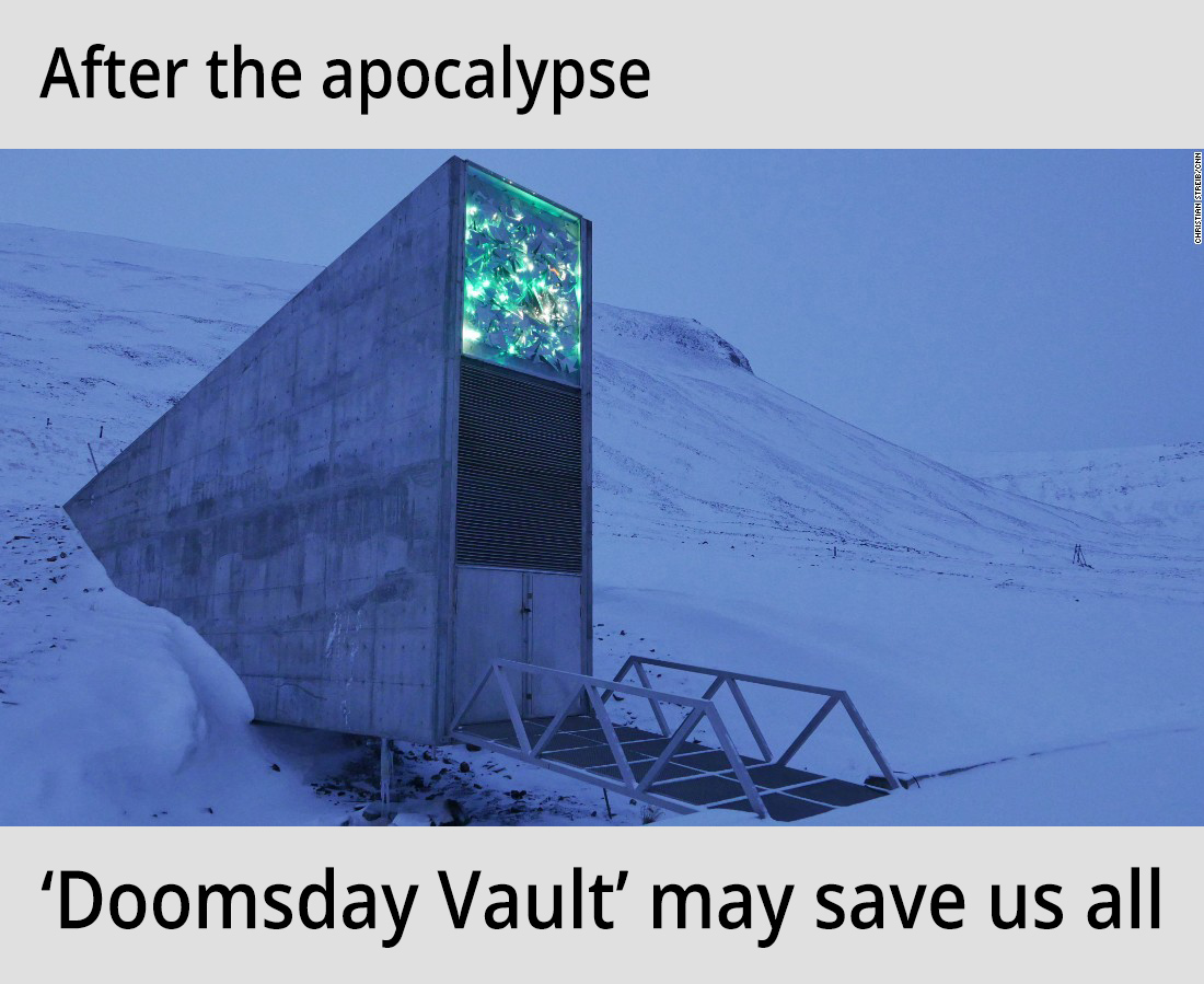 the vault of the future the vault of the future